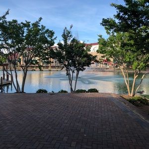 Meet your Posher, Alicia